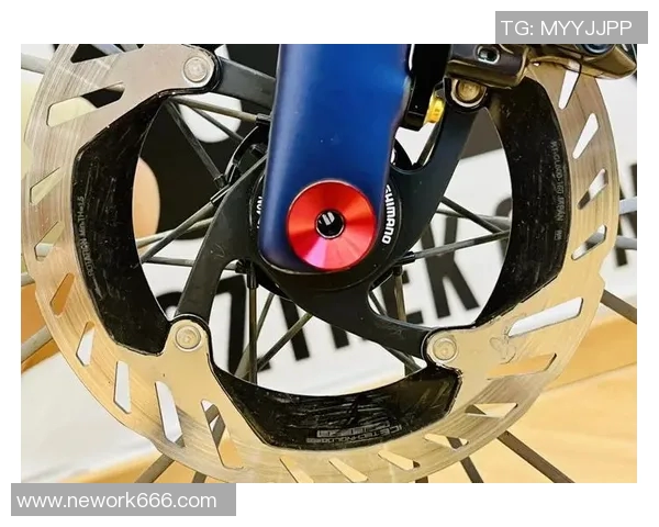 柏林赫塔与柔亚的精彩对决揭示足球战术与团队合作的魅力 柏林赫塔与柔亚的精彩对决揭示足球战术与团队合作的魅力